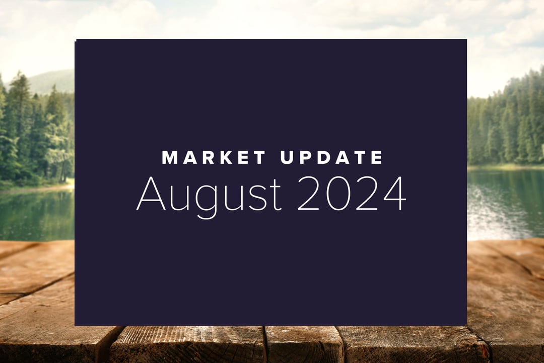 August 2024 Market Update: Escapades and Stock Surge