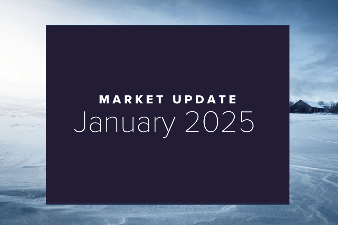 January 2025 Market Update: Trump's Tariffs & Tech Turmoil