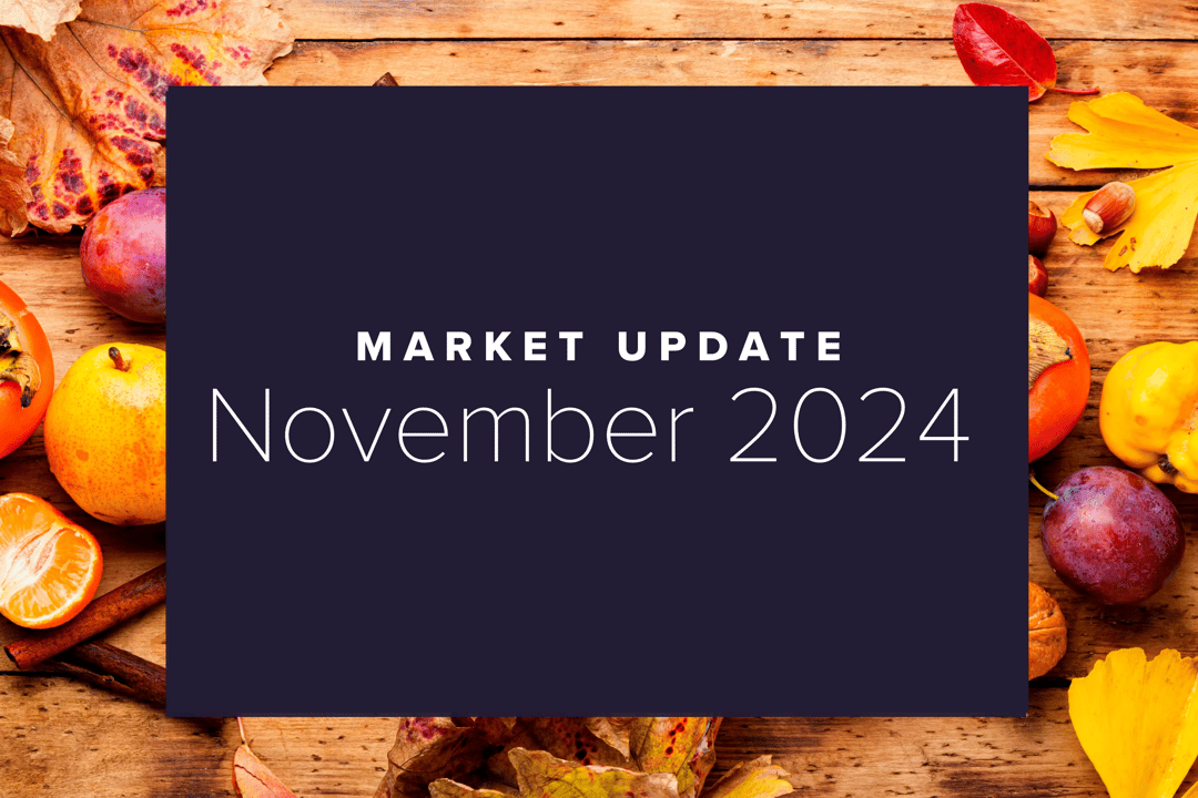 November 2024 Market Update: Election Aftermath