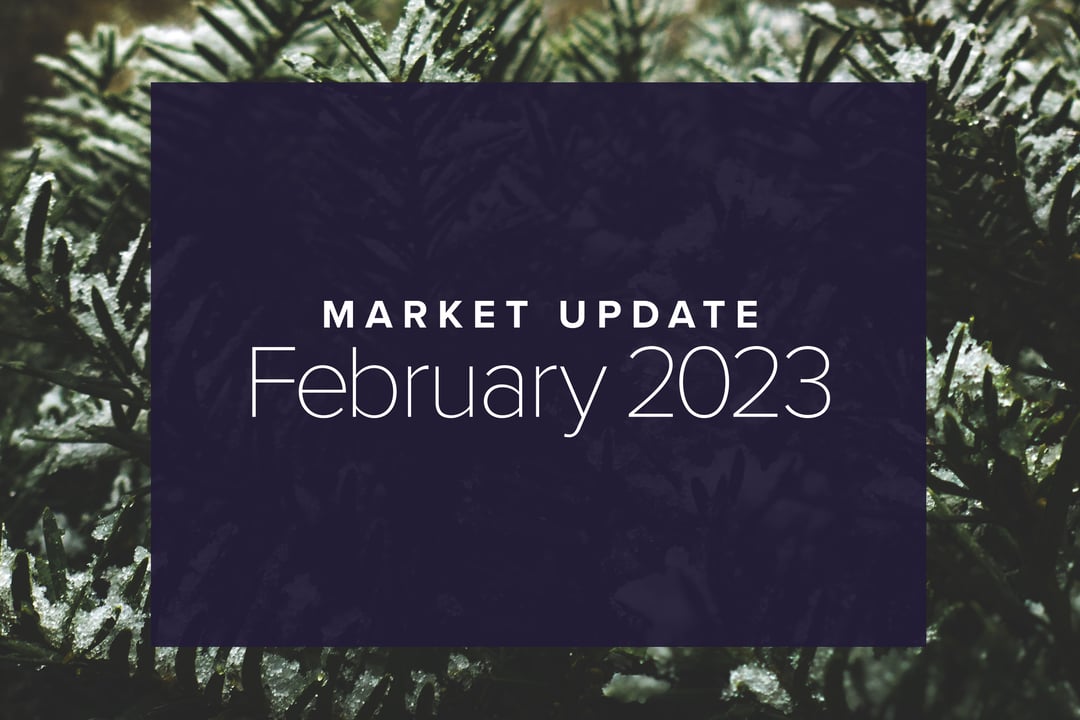 February 2023 Market Update: No Love