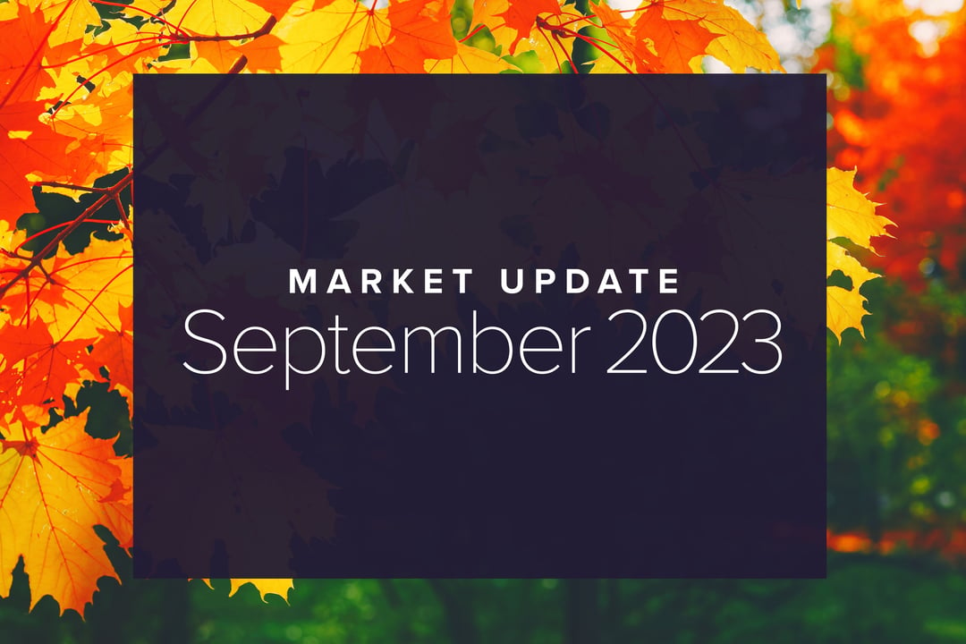 September 2023 Market Update: Buzz Kill
