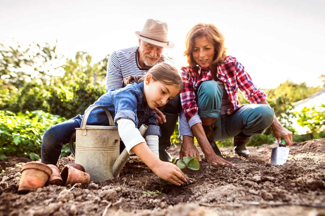 Estate Planning Under Biden